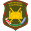 19-я мотострелковая дивизия
