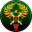 3-я отдельная бригада имени Героя Украины полковника Евгения Пикуса