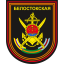 336-я отдельная гвардейская бригада морской пехоты