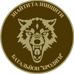 431-й отдельный батальон беспилотных систем «Бродяги»