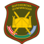 19-я мотострелковая дивизия