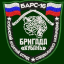Ударная русская добровольческая бригада «Кубань» Ударная русская добровольческая бригада «Кубань»