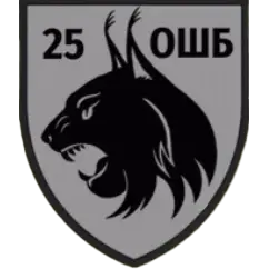 25-й отдельный штурмовой батальон